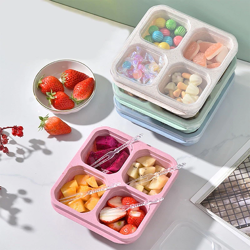 Food Storage Box Plastic - 4 Grids Food Storage Box Portable