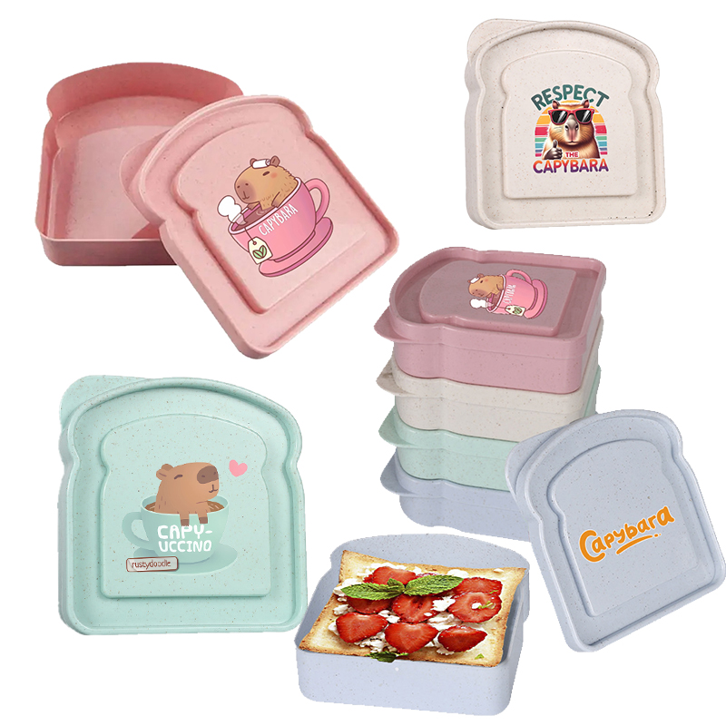 Capybara Sandwich Food Storage - огляд і ціна Food Storage Box Plastic