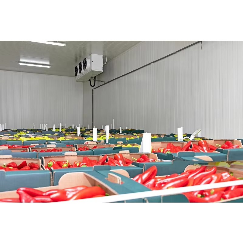 Customized Cold Room Hot Sale  - огляд і ціна Food Storage Keep Hot