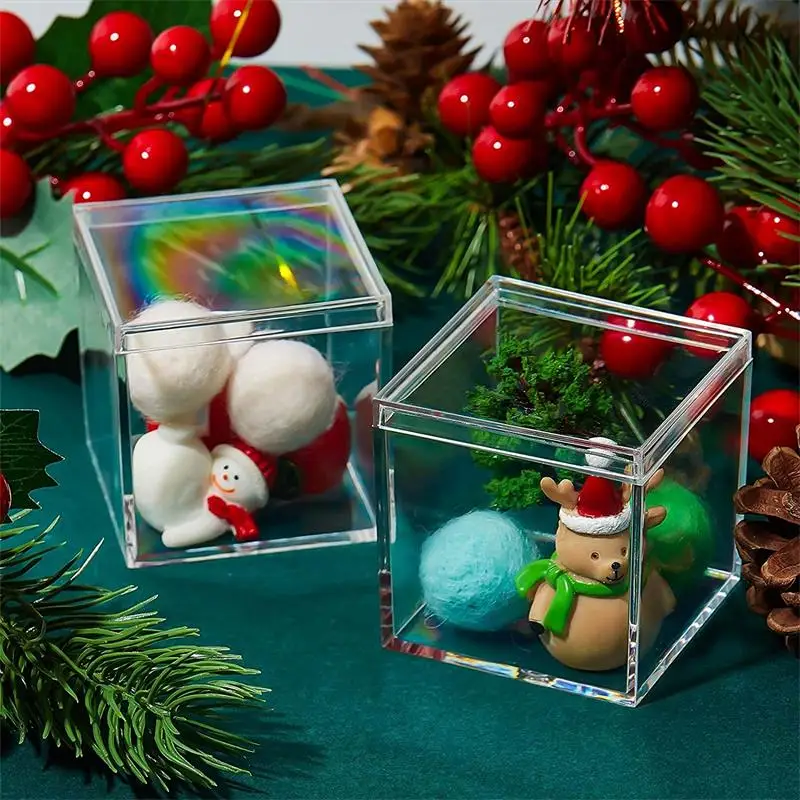 12 PCS Transparent Acrylic Box - огляд і ціна Food Storage Acrylic Containers