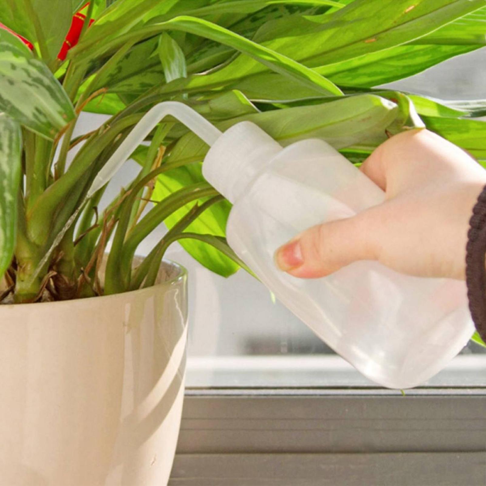 Squeeze Wash Bottle 250ml Safe - огляд і ціна Food Storage Food Safety