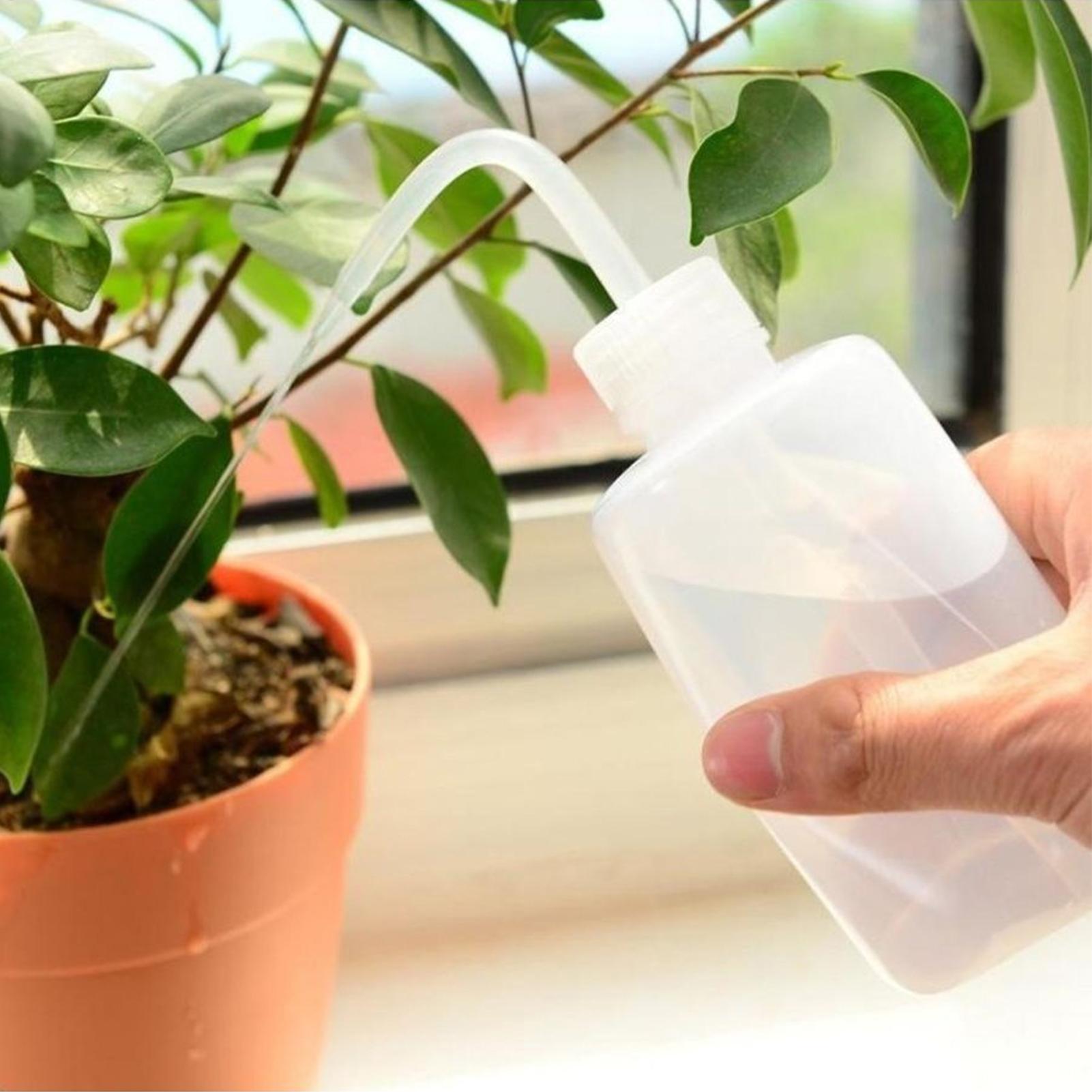 Squeeze Wash Bottle 250ml Safe - огляд і ціна Food Storage Food Safety