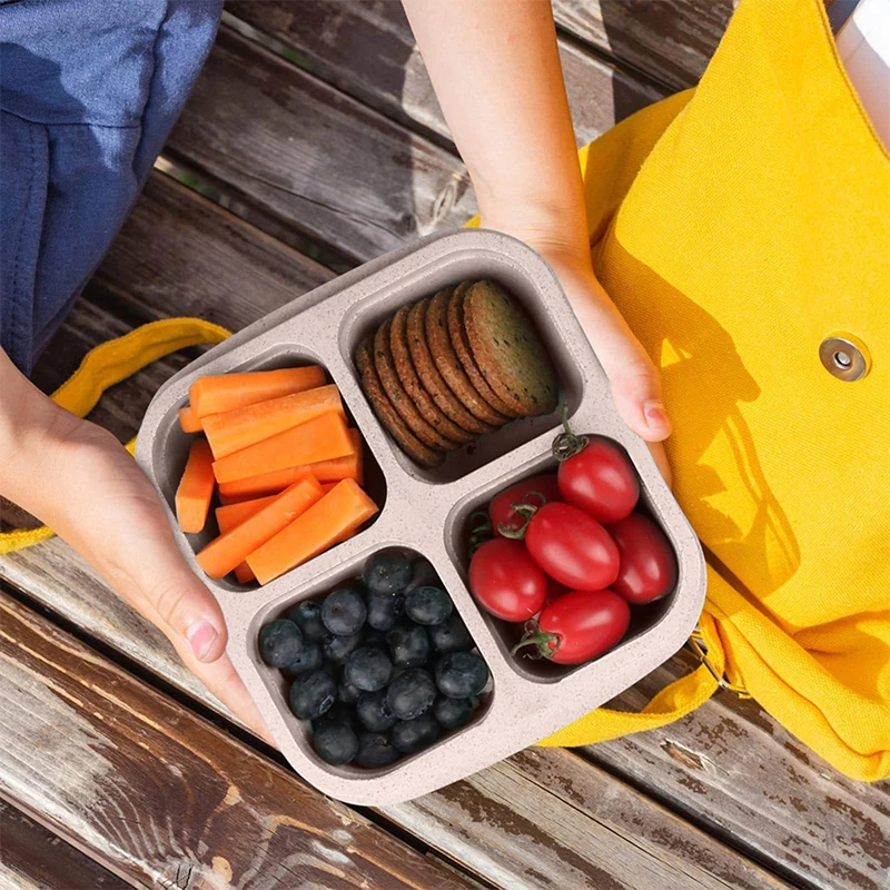 4 Grids Food Storage Box Porta - огляд і ціна Food Storage Box Plastic